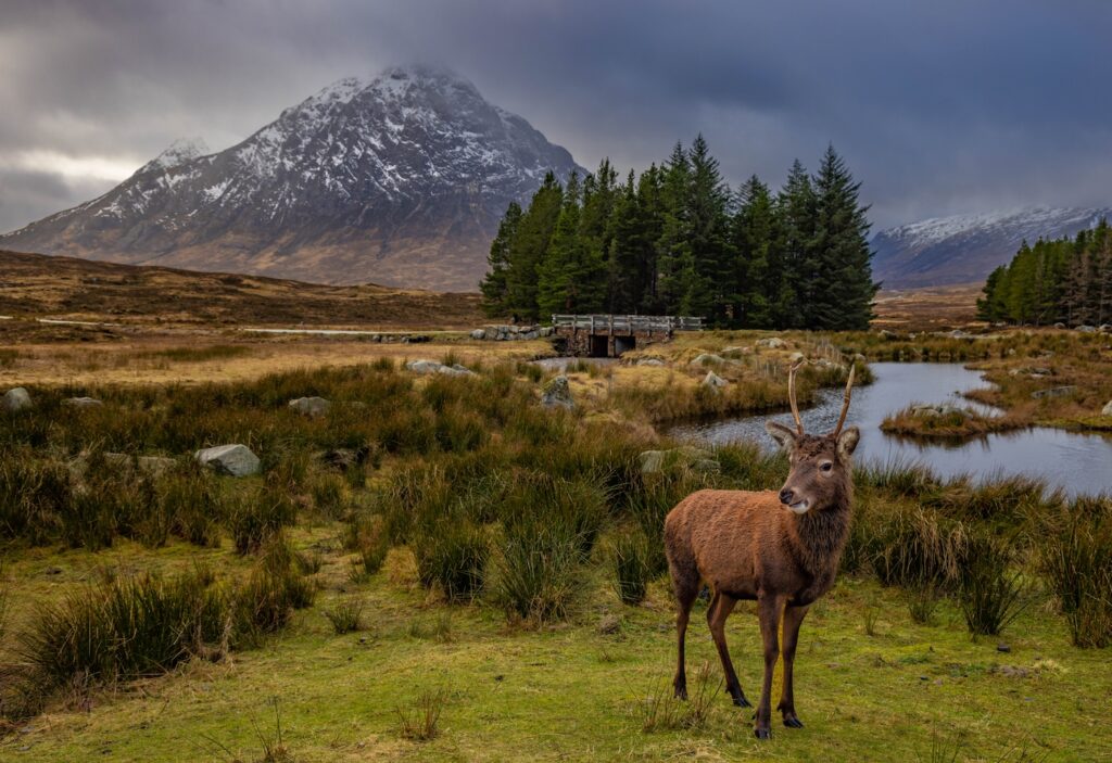 Discovering Scottish Gaelic – Intrepidus Outdoors [Video]