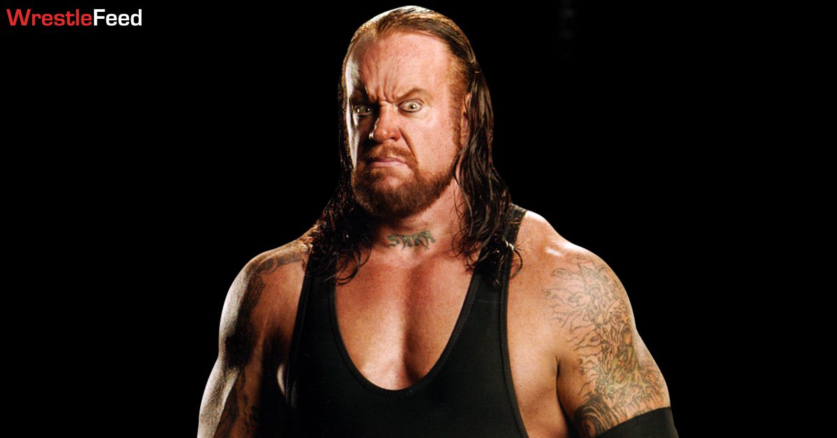 The Undertaker Criticizes Modern Wrestlers [Video]