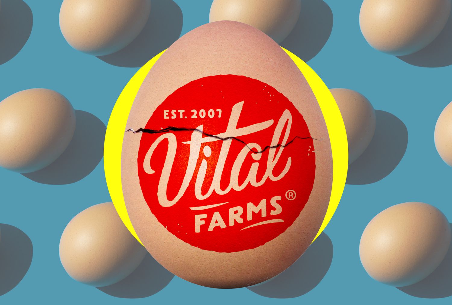 Are Vital Farms Eggs Ethical? [Video]