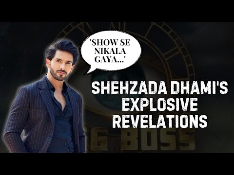 Bigg Boss 18: Shehzada Dhami Reveals Shocking Truths About TV Industry; Was Salman Khan Supportive? [Video]