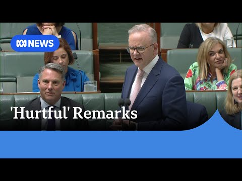 Prime minister apologises for ‘hurtful’ remarks towards Opposition frontbencher | ABC News [Video]