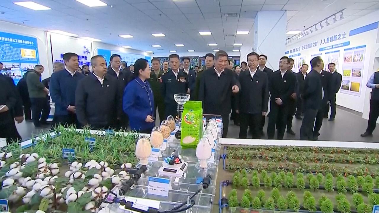 Chinese vice premier urges innovation and quality growth in Xinjiang [Video]