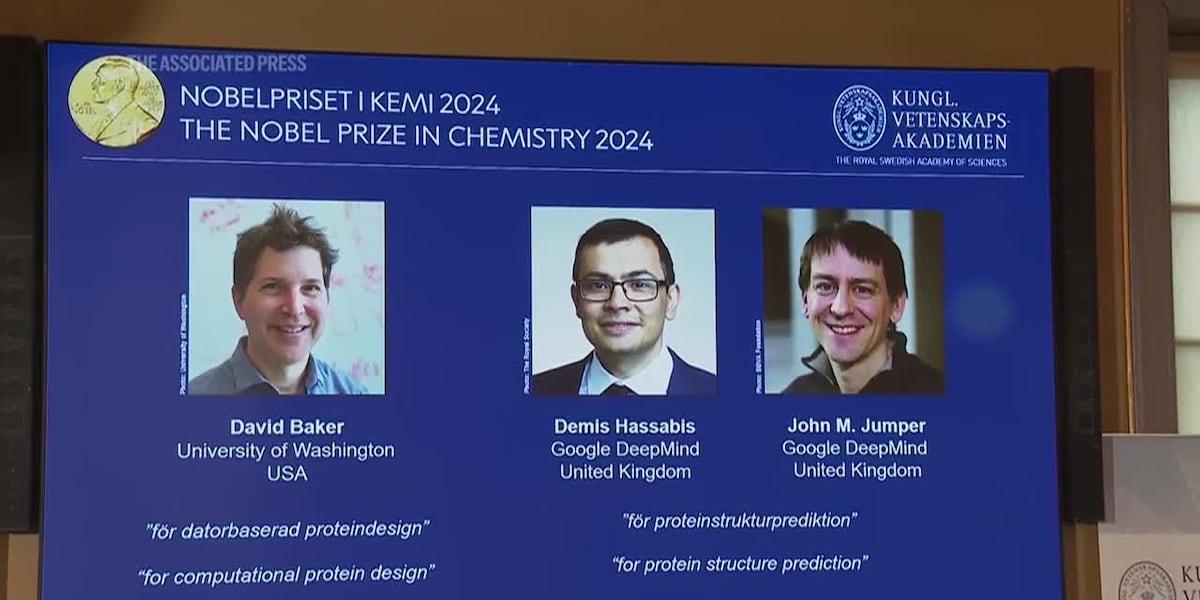 Nobel Prize in chemistry awarded for work with proteins [Video]