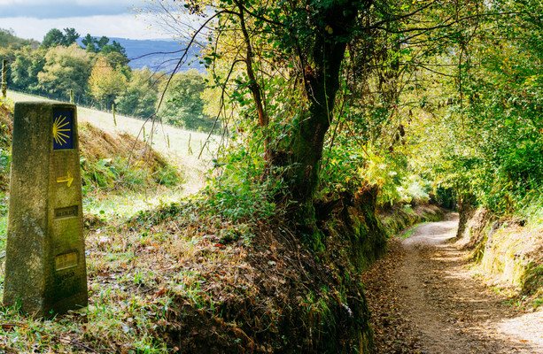 Opinion: ‘Be warned – the Camino gets into your brain and can be hard to shake off’ [Video]