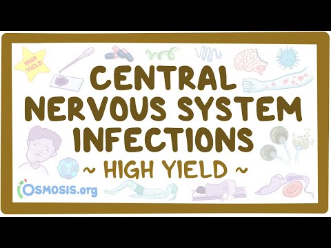 Central nervous system infections: Pathology review [Video]