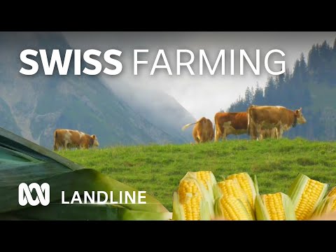 What can Australian farmers learn from Swiss agriculture? | Landline | ABC Australia [Video]