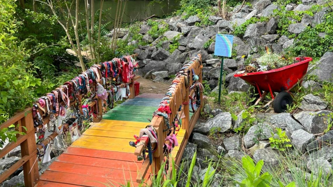 Will the Lake Lure Rainbow Bridge be rebuilt? [Video]