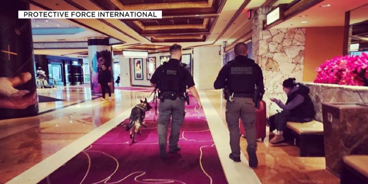 Armed, private security company partners with 18 Las Vegas casinos [Video]