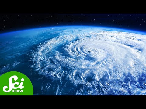 The People Who Fly Into Hurricanes (on Purpose) [Video]