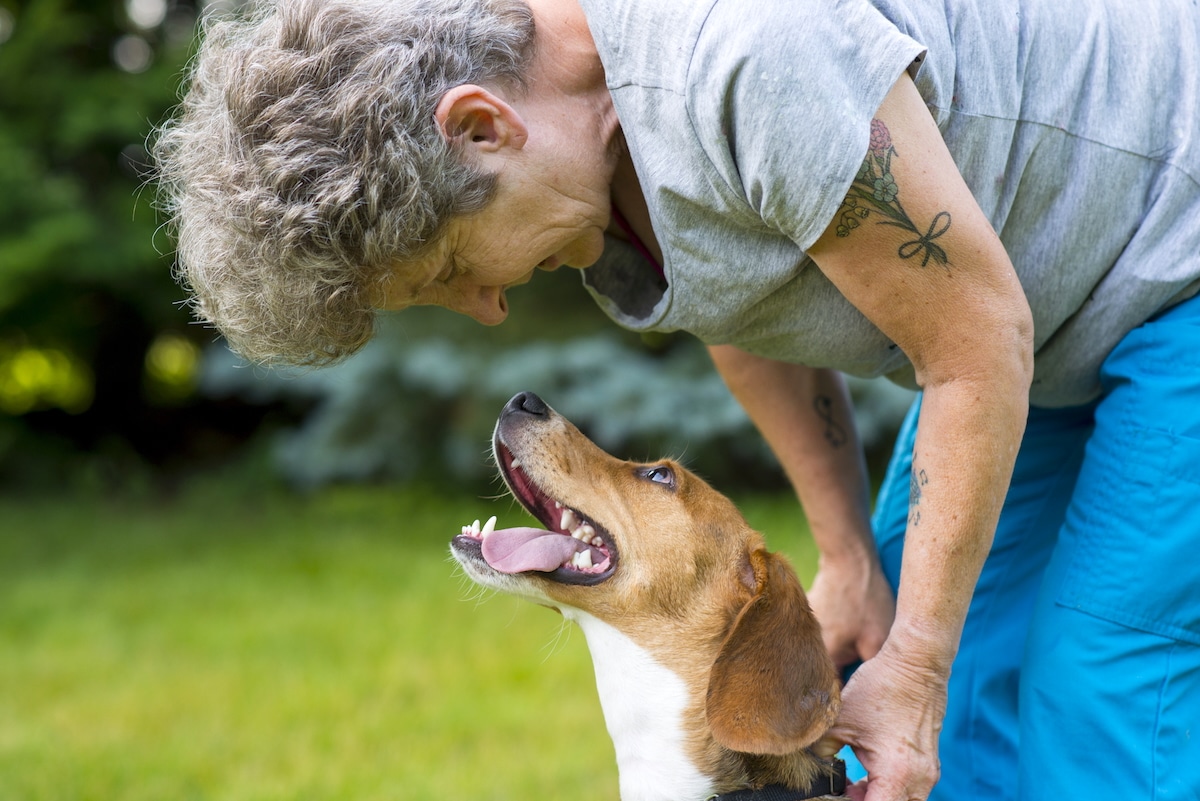 Gazing Into Your Dogs Eyes Can Synchronize Their Brain With Yours, Study Finds [Video]