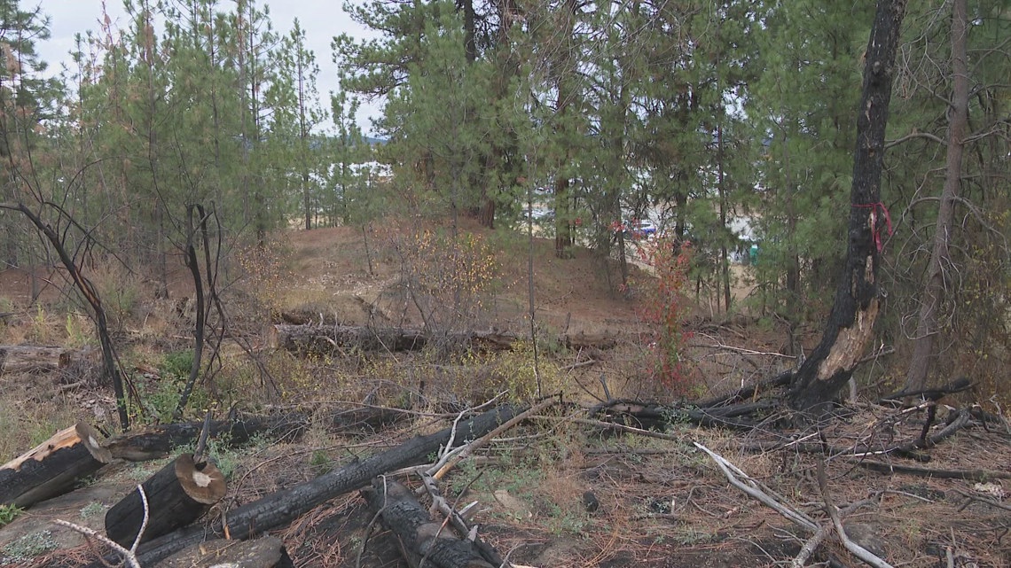 Dishman Hills wildfire mitigation project beginning next year [Video]