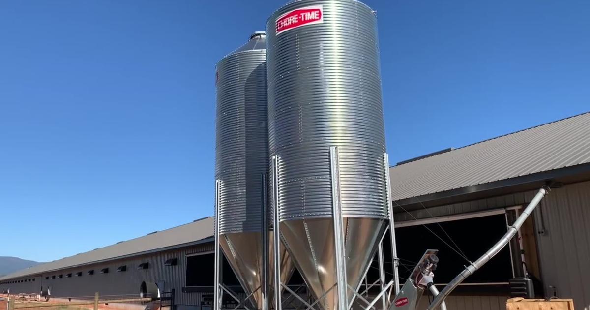 Amherst egg production facility up and running [Video]