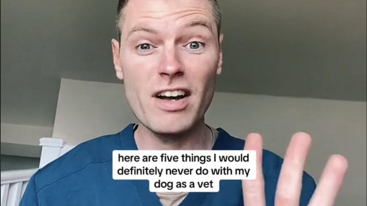 I’m a vet – here are 5 things I would NEVER do to my own dog [Video]