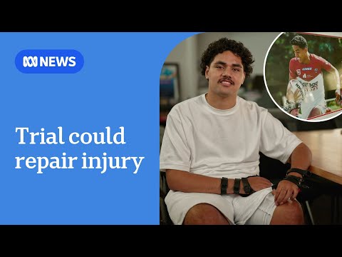 Trial using nasal cells to help spinal cord injury patients | ABC News [Video]