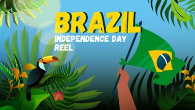 Brazil Independence Day Reel (Square) [Video]