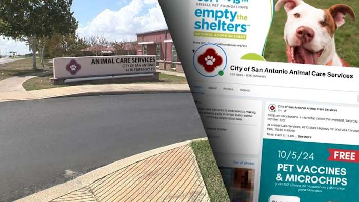 After Animal Care Services is called out for censoring Facebook comments, city vows to change social media policy [Video]