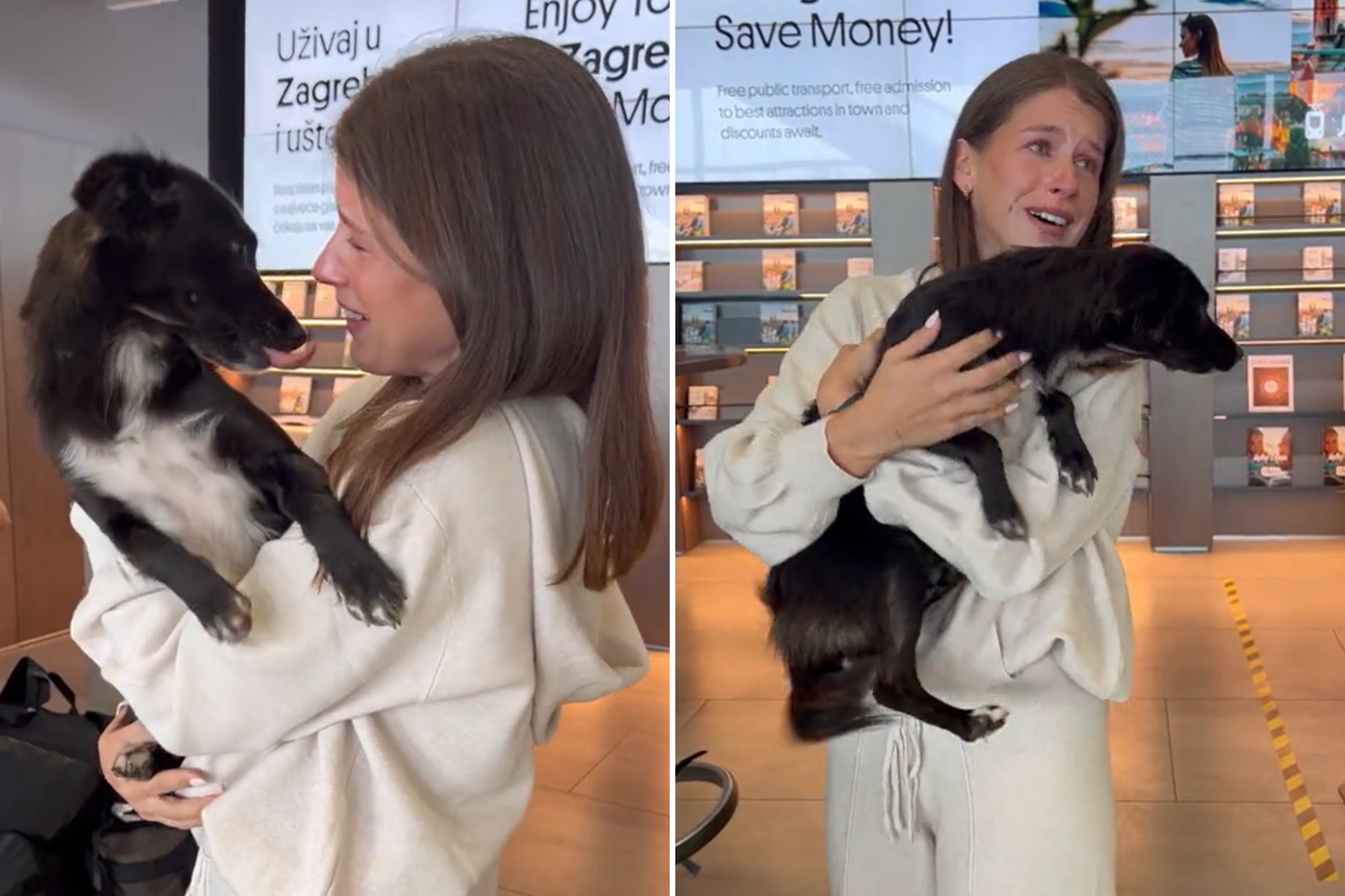 Woman Adopts Dog She Met in Bali and Flies Her Across the World to Reunite [Video]