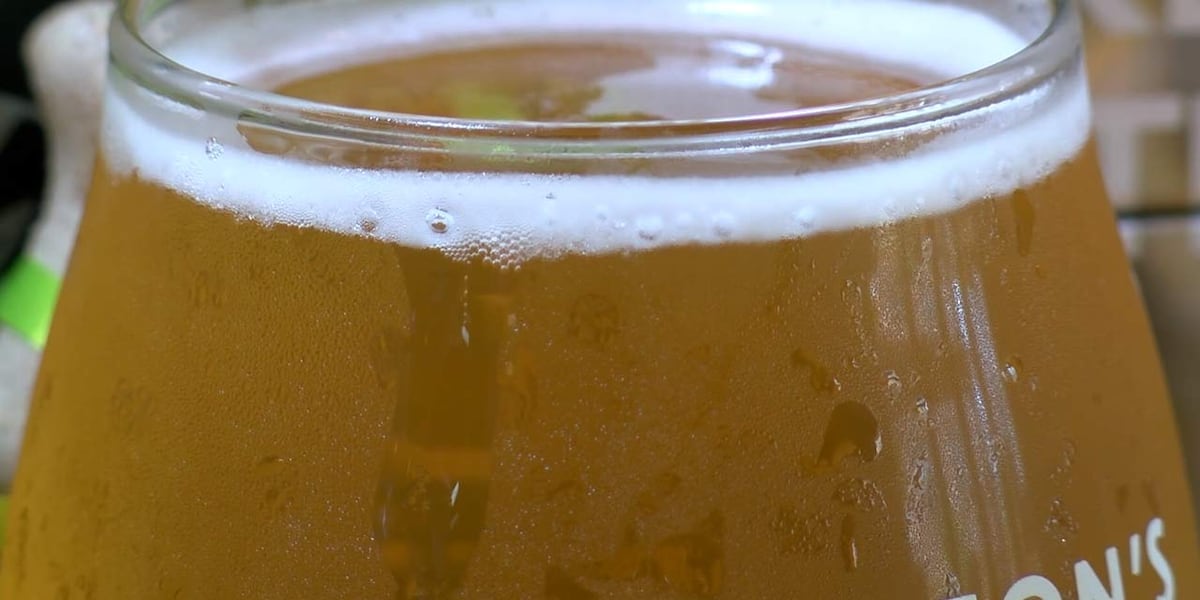 Charleston Beerfest returns this weekend [Video]