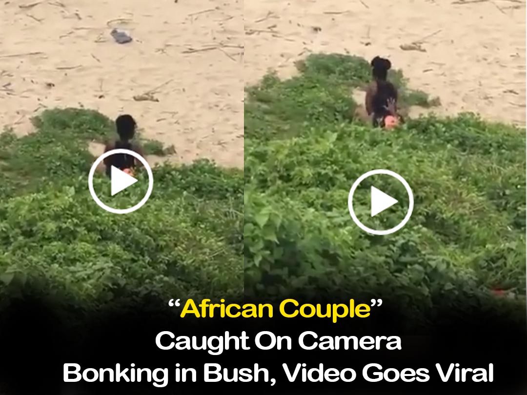 African Couple Caught On Camera Bonk!ng in Bush, Video Goes Viral  Face of Malawi