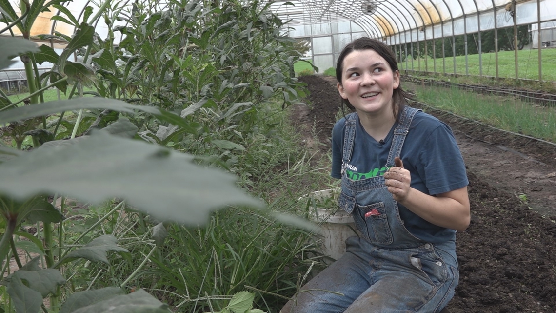 Program gives Appalachian teens job, skills training [Video]