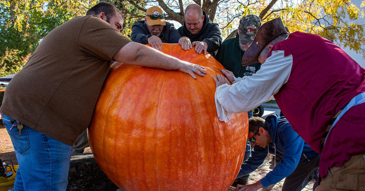 These are the most festive states during Halloween season [Video]