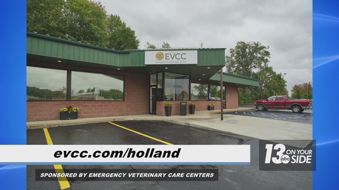 Sponsored: Holland clinic offers 24/7 veterinary care [Video]