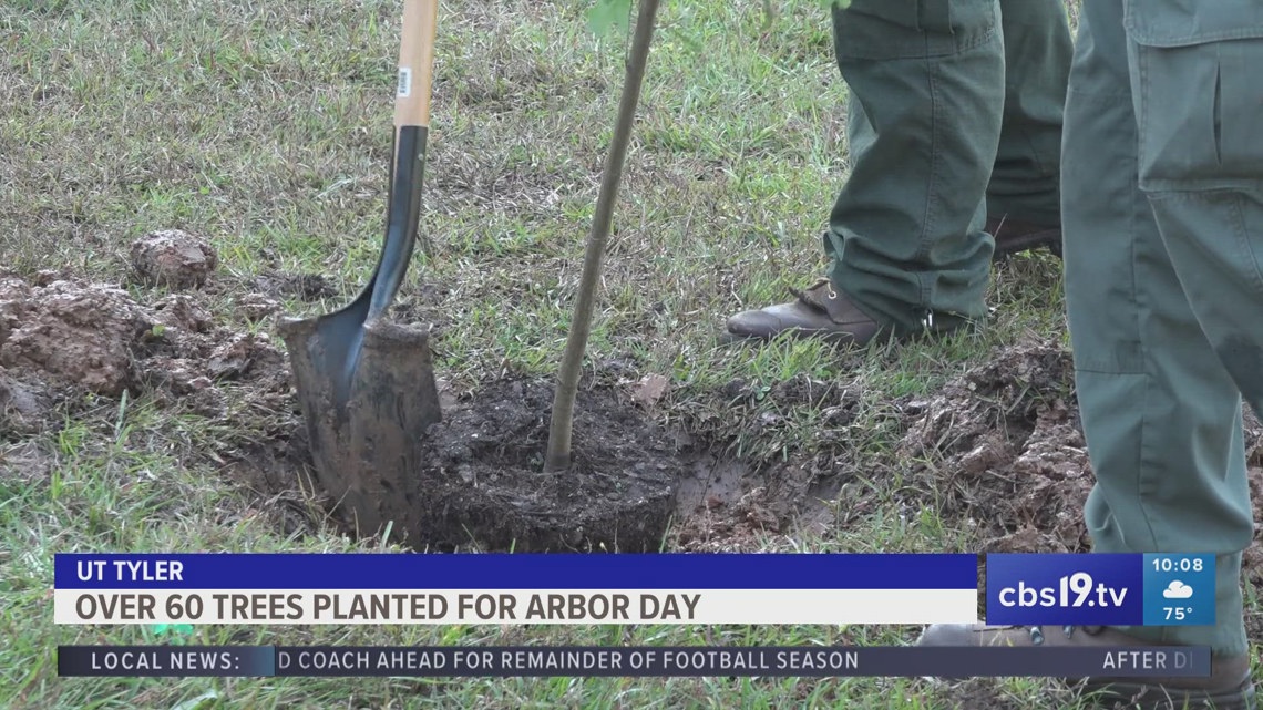 UT Tyler plants over 60 trees for Arbor Day [Video]