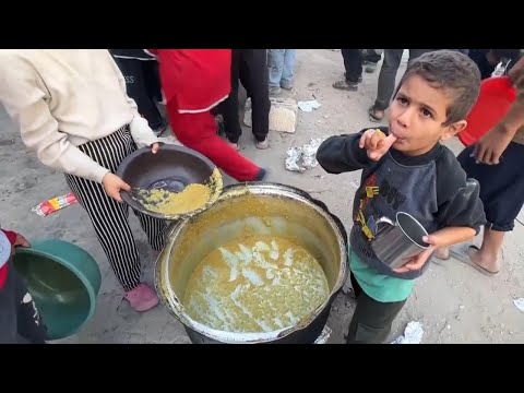 International charity serves hot meals to displaced Palestinians in Gaza City [Video]