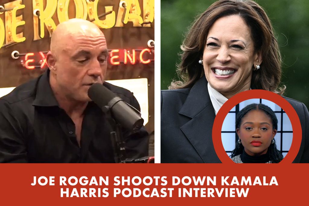 Joe Rogan declines interview with Kamala Harris over campaigns demands | Reporter Replay (Video)