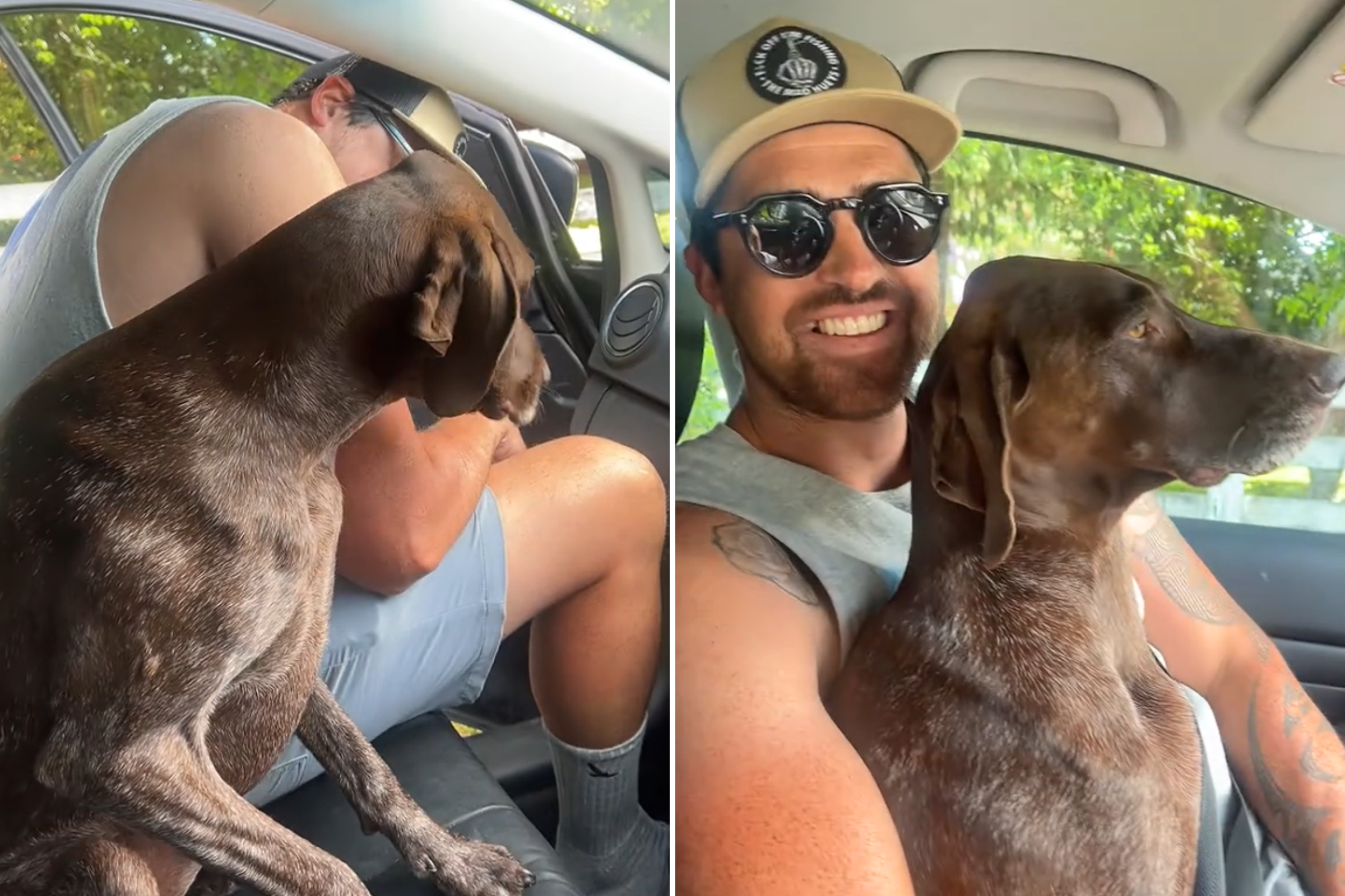 Hysterics at Dog Refusing To Let Owner Ride Up Front: ‘It’s Her Seat Now’ [Video]