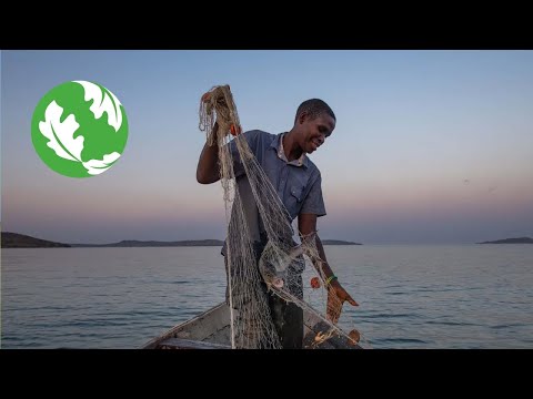 Working in Partnership to Protect The World’s Longest Lake [Video]