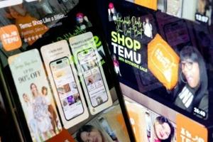 EU probes shopping app Temu over illegal products [Video]