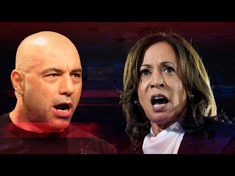 Watch Joe Rogan Rejects Kamala Harriss List of Demands to Appear on His Podcast News Video