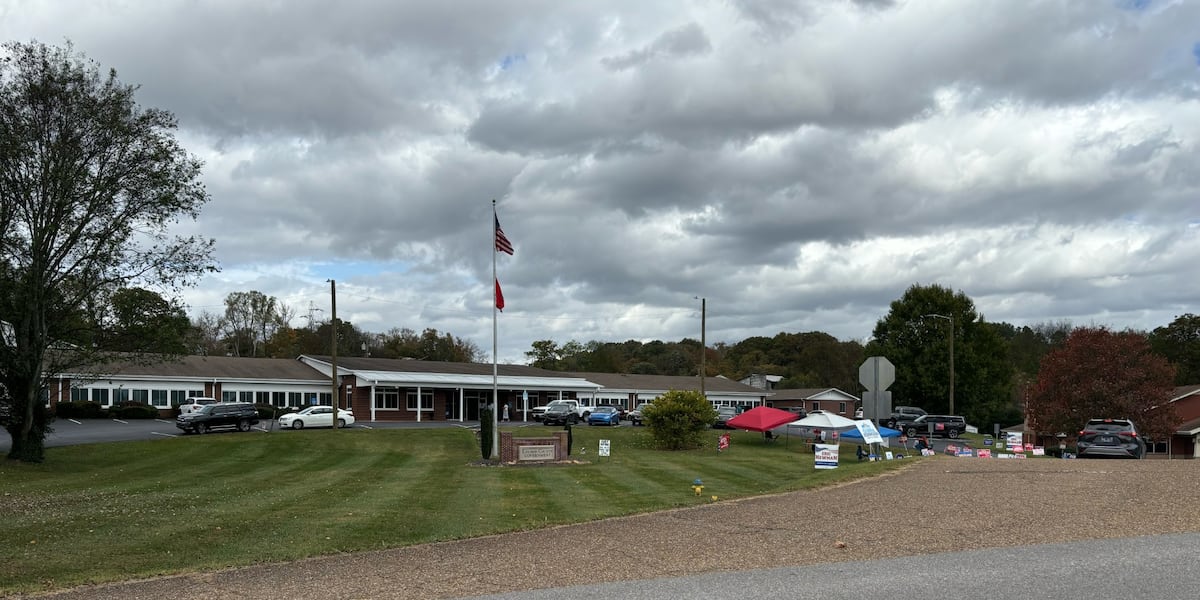 Loudon County leads Tennessee in early voter turnout [Video]