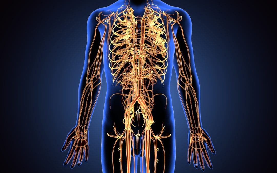 Effective Treatment for Nerve Injuries: Causes and Solutions [Video]