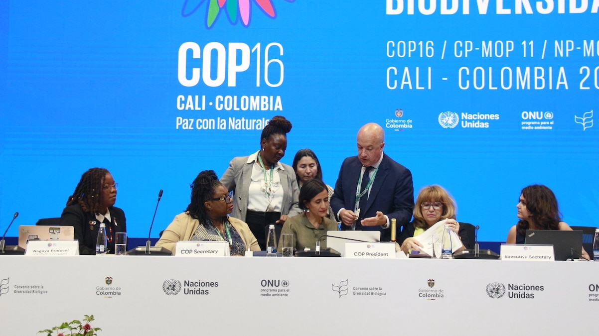 COP16 Ends Without Consensus on Financing for Nature Conservation [Video]