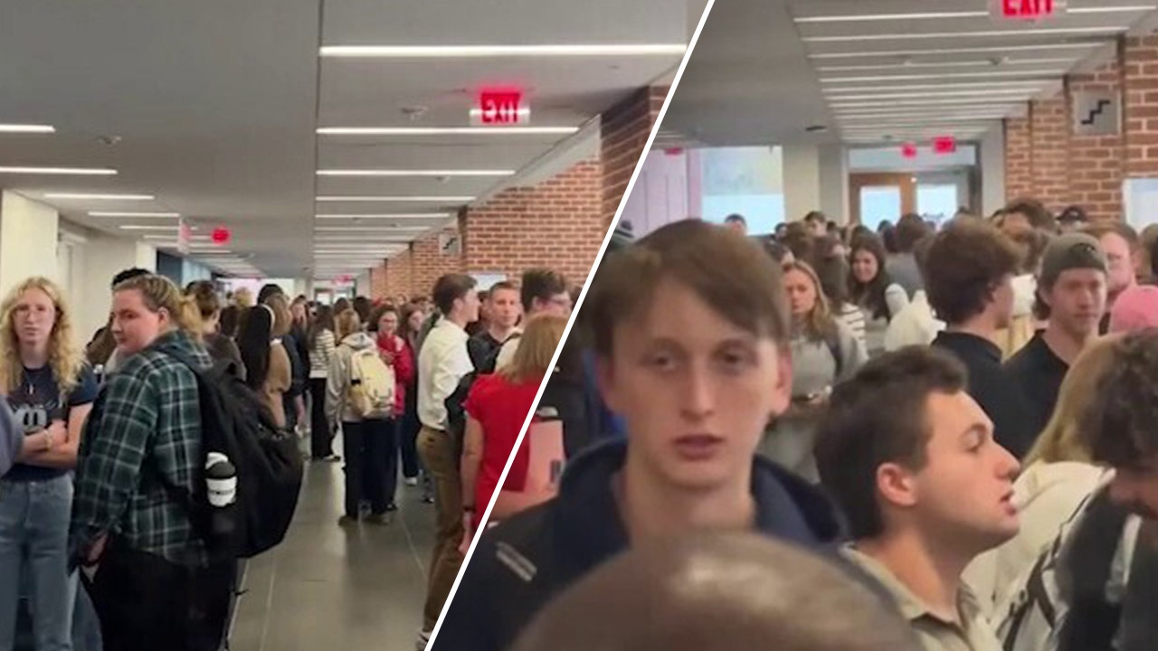 College students at Liberty University in Virginia make ‘huge line’ to vote in presidential election: video