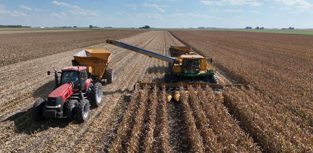 Jim Baltz  Join us for an exclusive aerial tour of one of the largest seed corn operations in central Illinois. This video showcases seed corn production at the Farmer City Bayer facility, from spring planting through fall harvest across DeWitt, McLean, Piatt, and Champaign counties.