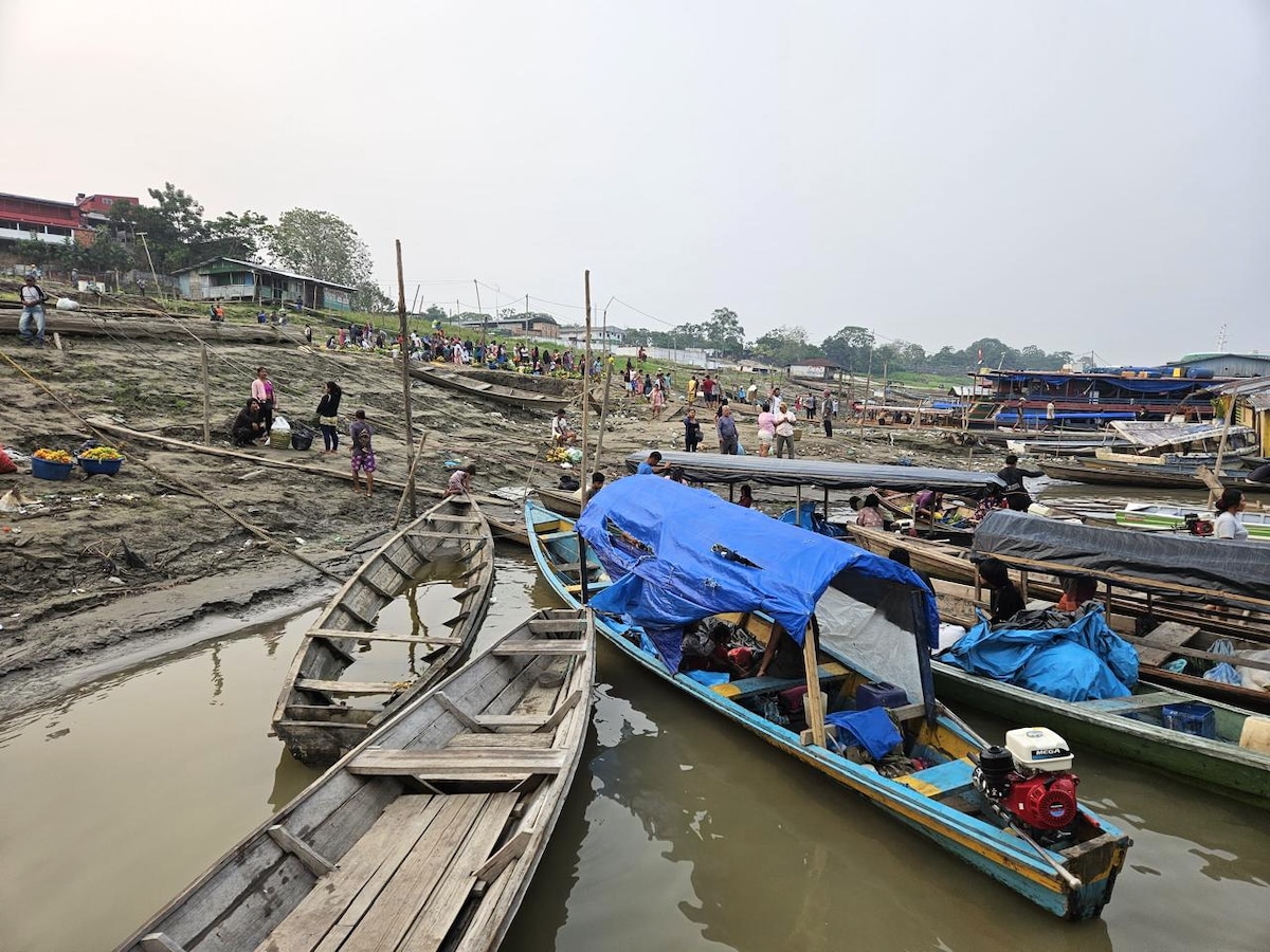 Record Amazon Basin Drought Impacts 420,000 Children: UNICEF [Video]