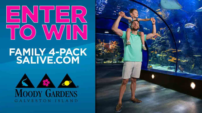 SA Live & Moody Gardens Holiday Sweepstakes [Video]