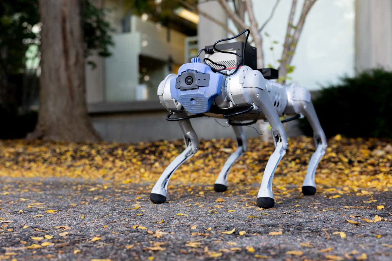 AI helps robot dogs navigate the real world [Video]