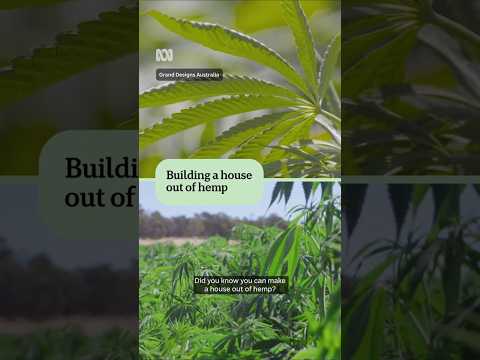 Did you know you can make a house out of hemp? | ABC News [Video]