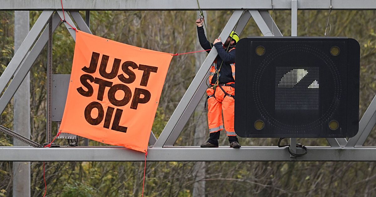 Just Stop Oil supporter arrested after Express uncovers Remembrance Day chaos plot | UK | News [Video]