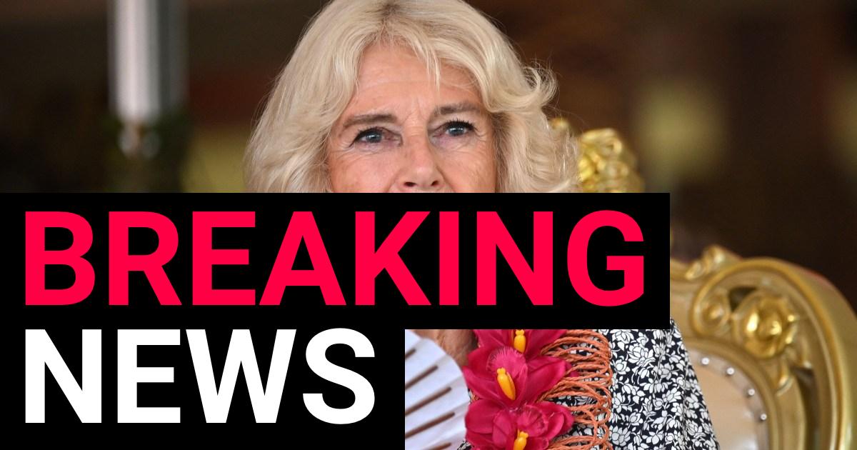 Queen Camilla health update after missing Remembrance Day events | UK News [Video]