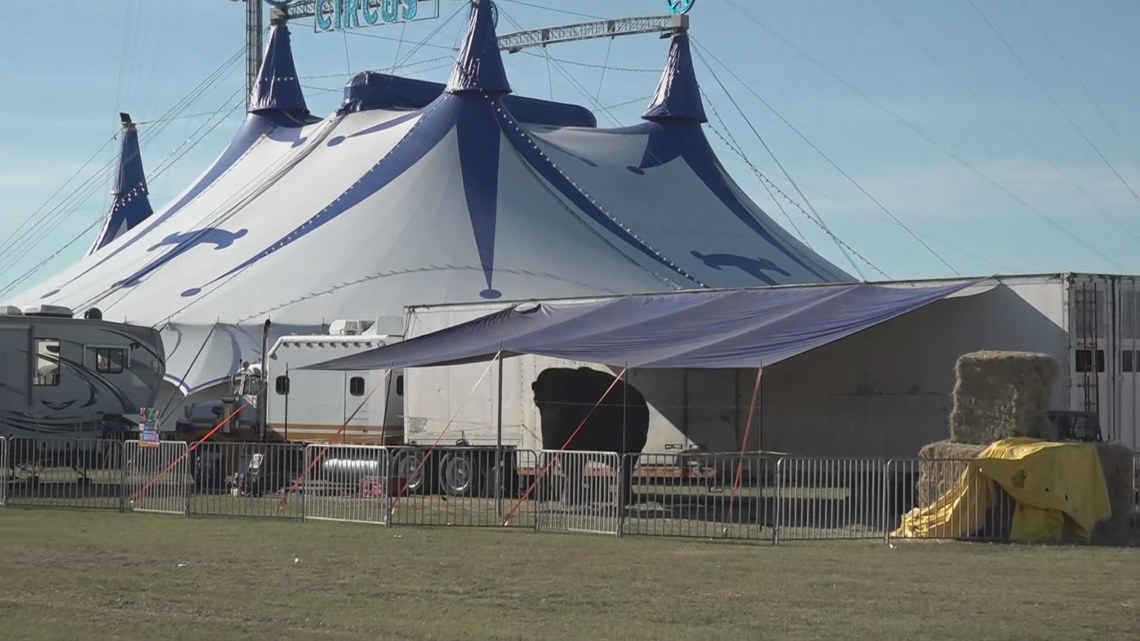 Public concern over Mysterious Circus elephant’s living conditions sparks online petition [Video]