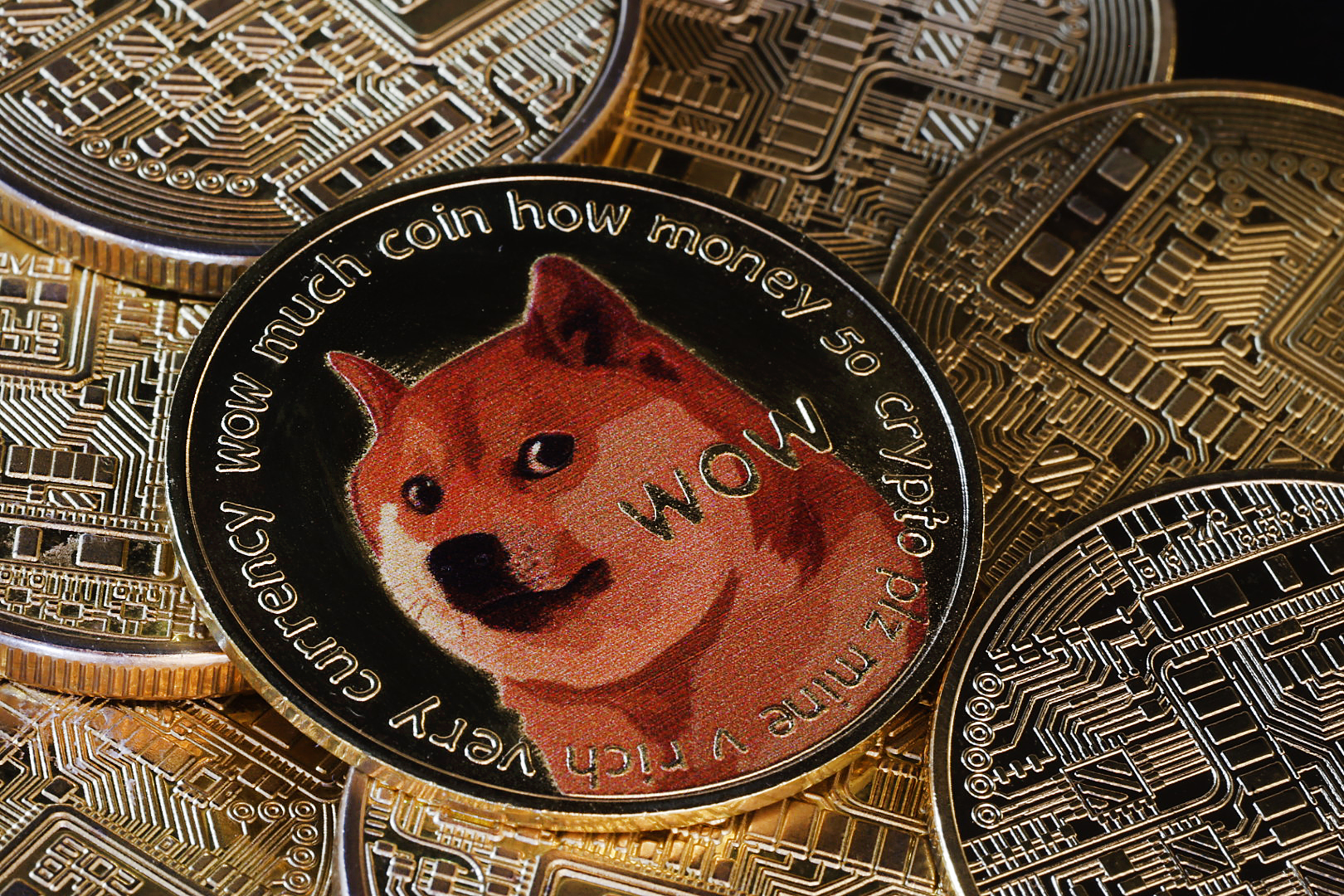 Dogecoin Value Skyrockets After Trump Announces Group Nicknamed DOGE [Video]