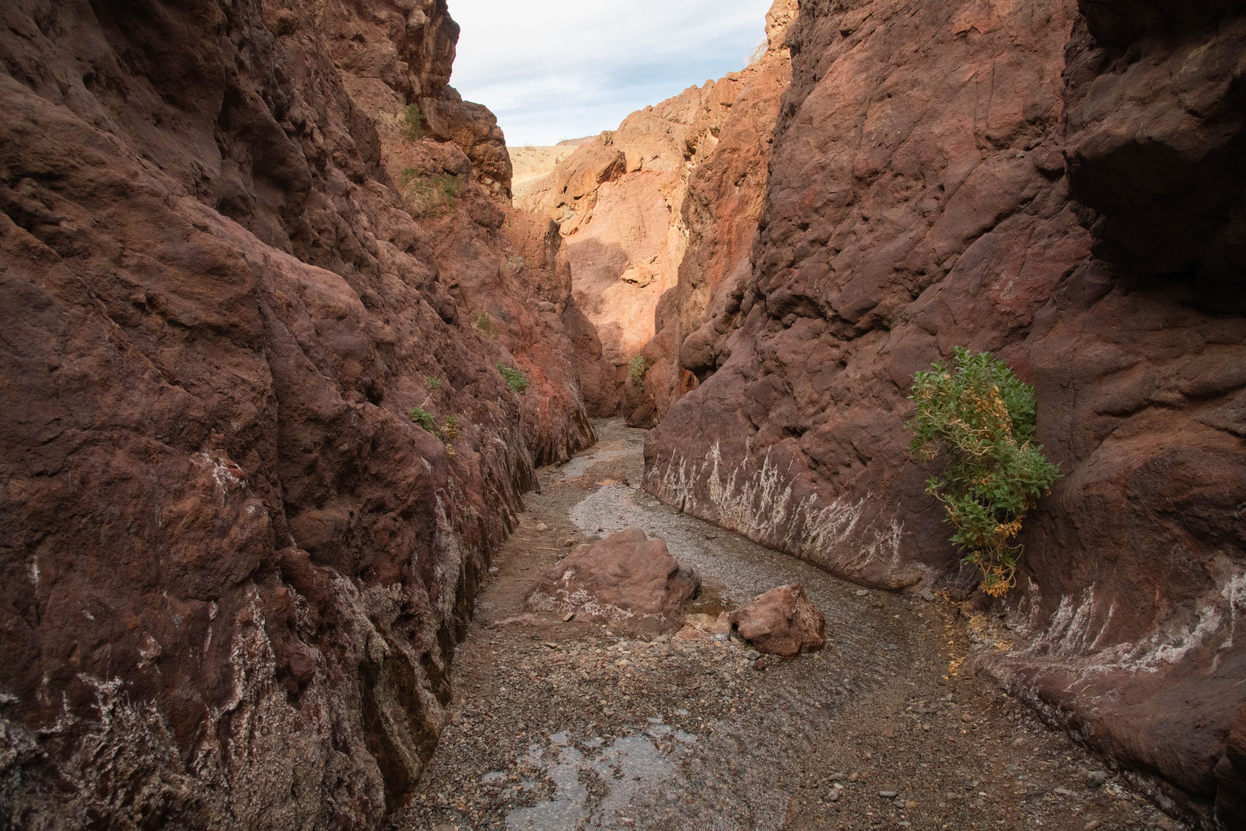 Lake Mead NRA gets grant to address illegal roads [Video]