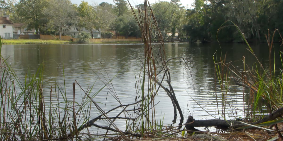 Flood reduction plan moves forward for West Ashley creeks and lakes [Video]