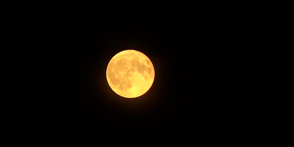 Beaver Moon will be the last supermoon of the year [Video]