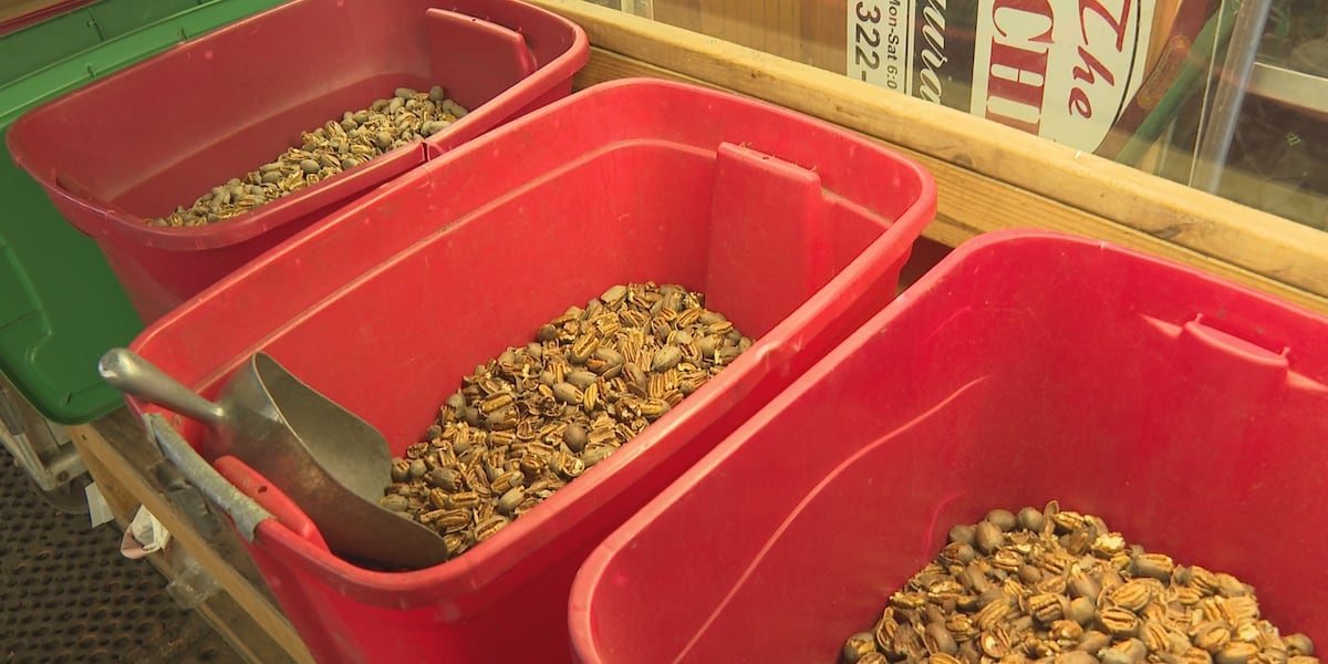 Louisiana Pecan Shelling Company experiences shortages [Video]